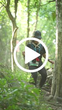 BIB:  <button type="button" onclick="openModal(27944119)" class="btn btn-primary btn-sm float-right" data-toggle="modal" data-target=".modal-high-quality">
                <i class="fa fa-download"></i> Download
                </button>